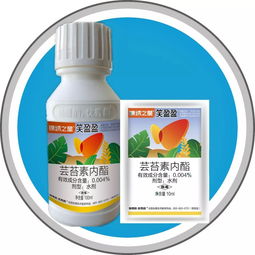 每日一品 錦繡之星r笑盈盈r