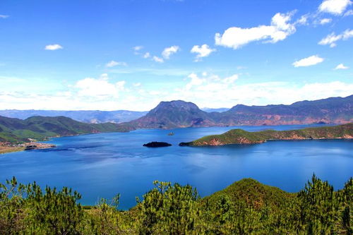 麗江濕地no.1,是哪個