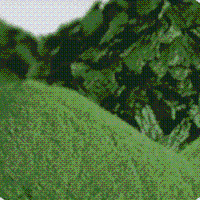 螺旋藻粉,螺旋藻,螺旋藻粉,螺旋藻精片生產供應商 保健食品