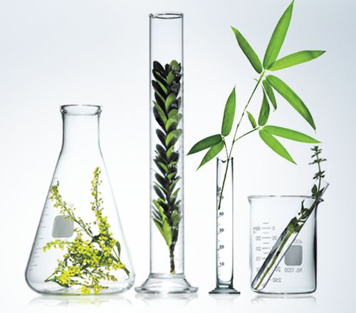 天然螺旋藻 自然系潮流引領者Ultraworks工廠的革新之路