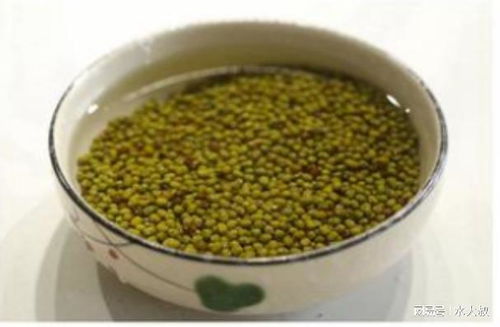 三伏天胃口不佳？天然螺旋藻助你清涼一夏