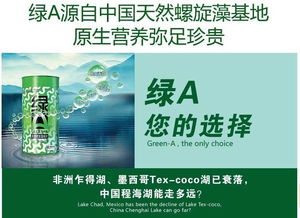 天然螺旋藻——一呼百應公司頻道的健康新概念