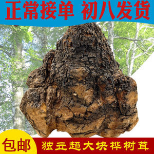 天然螺旋藻 藍色星球的生命瑰寶